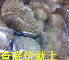 一德路海味干貨批發 優質中等規格干猴頭菇，足干色好，海味市場好貨供應