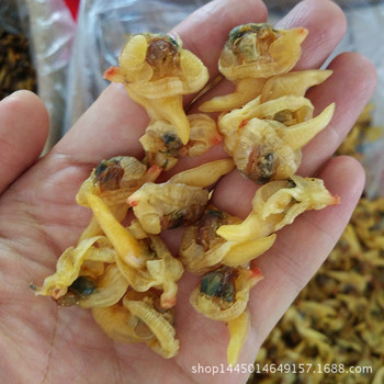 北海特產(chǎn)海味干貨批發(fā) 干海螺肉與花甲螺干，品質(zhì)源頭直供