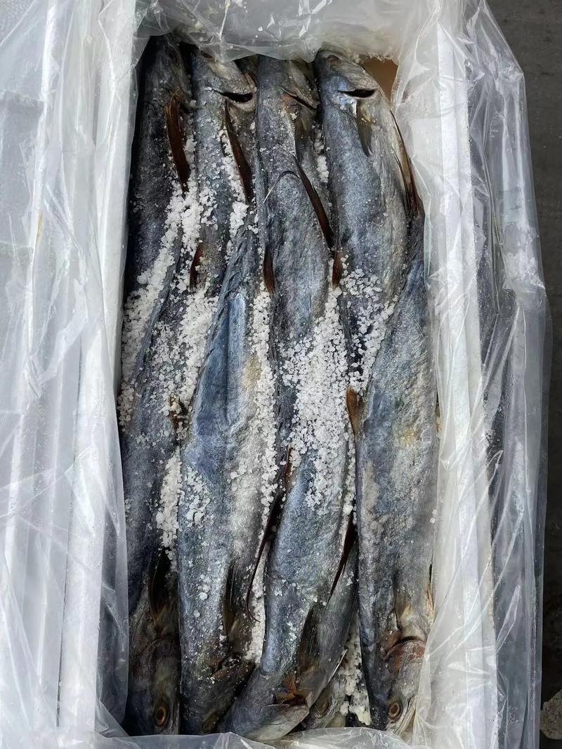 專業(yè)海味干貨批發(fā) 品質(zhì)之選，放心之源