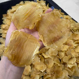 深海臻品，滋補(bǔ)圣味 嘴鳘魚膠與紅雞赤的味蕾饕宴